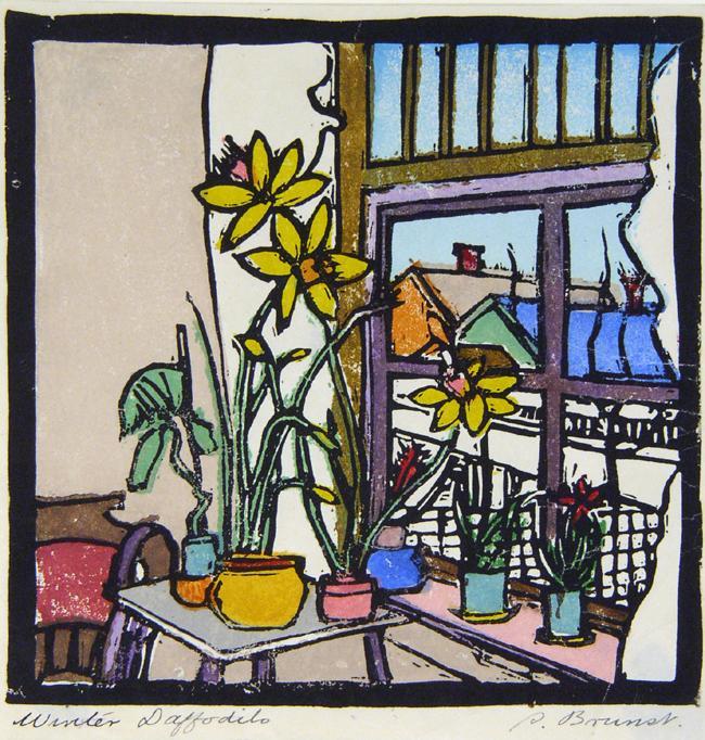 Winter Daffodils