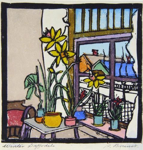 Winter Daffodils