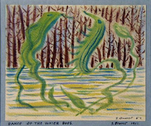Dance of the Water Bugs
