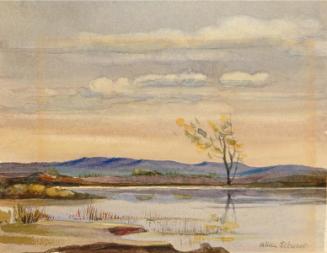 Untitled (tree beside water)