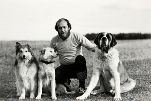 Untitled (man with dogs)