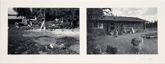 Untitled (cabin and site, with boys and dogs)