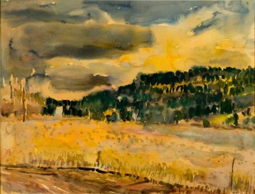 Dusk Along Treed Ridge - Alberta