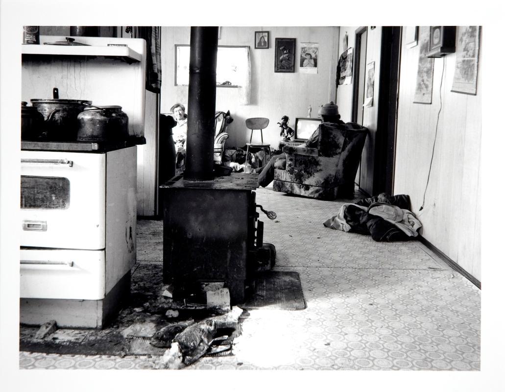 Fish; Salmon Cardinal Residence, Calling Lake, Alberta, March 1985