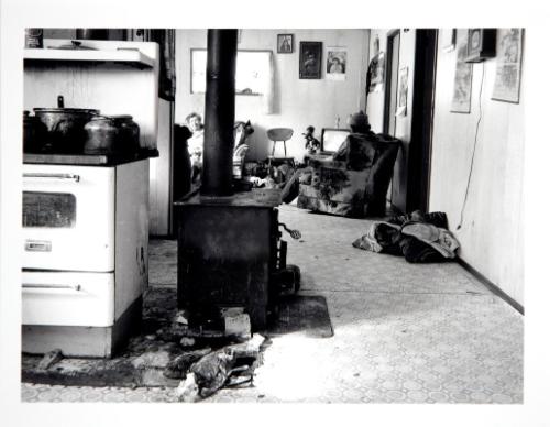 Fish; Salmon Cardinal Residence, Calling Lake, Alberta, March 1985