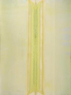 Green Split #2
