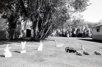 Yard Decorations, Windo Residence, Edam, Saskatchewan, May 1993