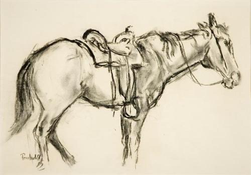 Untitled (saddled horse)
