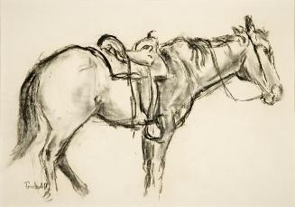 Untitled (saddled horse)