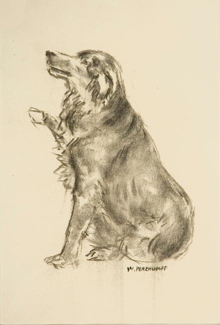 Untitled (dog)