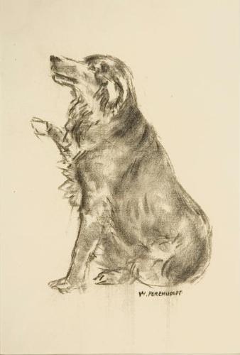 Untitled (dog)