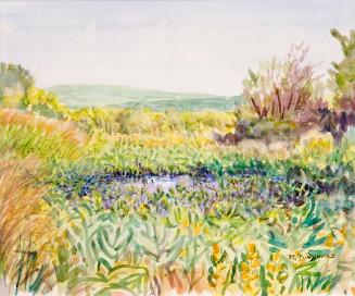 Pool in a Wheatfield, Silton