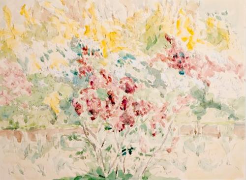 Lilacs