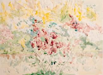 Lilacs
