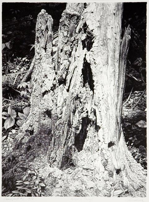© Estate of Ernest Lindner. Copyright Visual Arts-CARCC, 2021