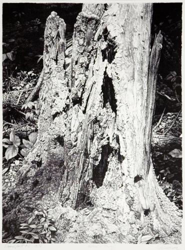 © Estate of Ernest Lindner. Copyright Visual Arts-CARCC, 2021