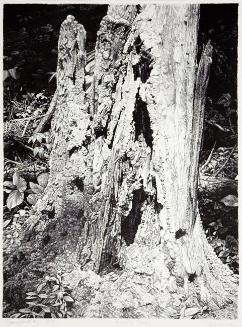© Estate of Ernest Lindner. Copyright Visual Arts-CARCC, 2021