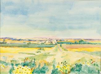 Yellow Daisies
