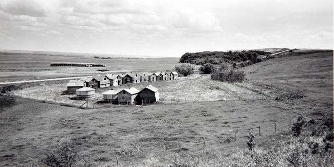 Granary Bins, South of the Battlefords, June 1994