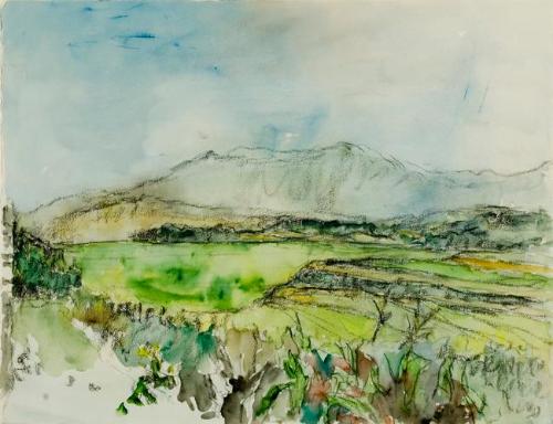 Rice and Corn—Daliang Mountains