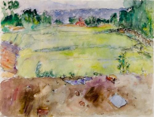 Zhaojui: Green Rice—Horse Feeding—Rain