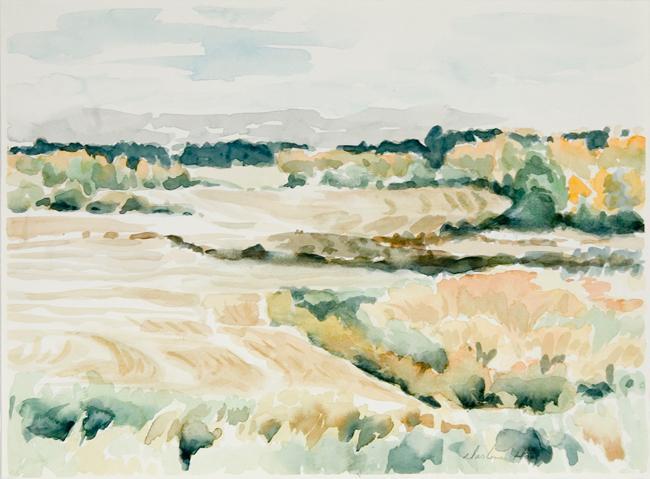 Swaths in Parkland