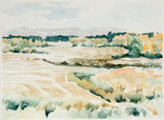 Swaths in Parkland