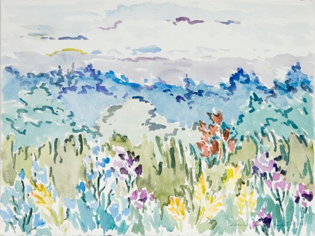 Wildflowers in Bushes