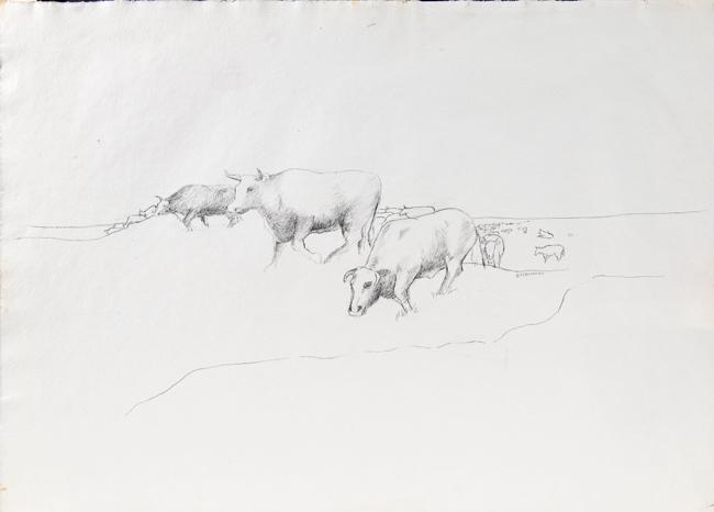 Prairie Cattle