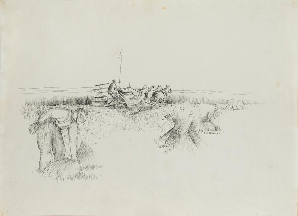 Harvest Field