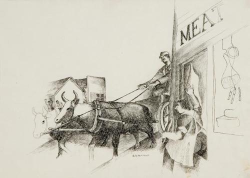 Oxen Team