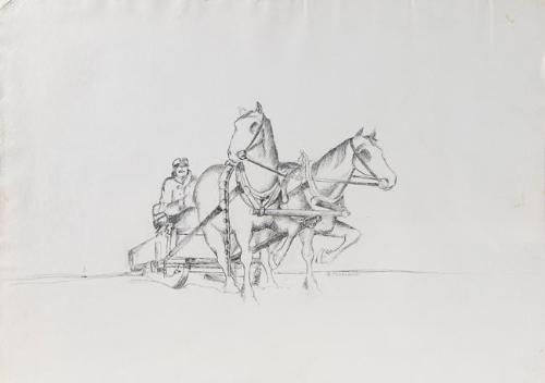 Breaking Trail