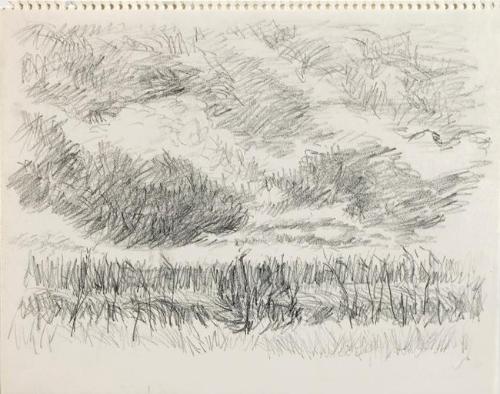 Untitled (landscape)