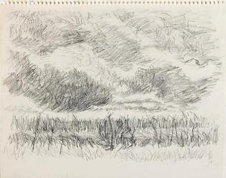 Untitled (landscape)