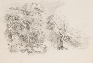 Untitled (trees)