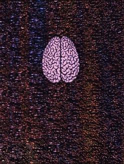 My Love Beats a Tattoo (top of brain)