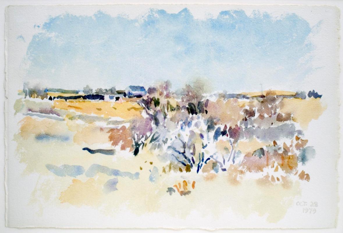 Untitled (pale ochre fields - clear sky)
