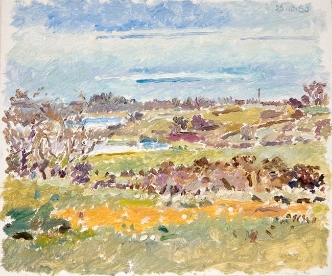 Untitled (landscape with sky and horizontal white lines)