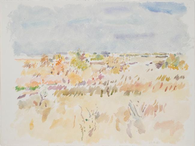 Untitled (orange field and bushes under pale sky)