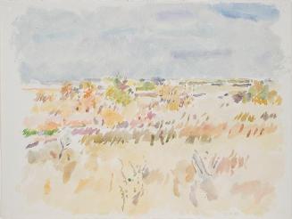 Untitled (orange field and bushes under pale sky)