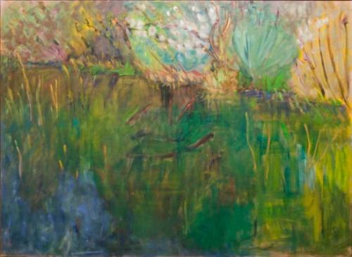 Pussywillows at the Edge of Pond