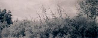 © Patrick Close. Copyright Visual Arts-CARCC, 2021