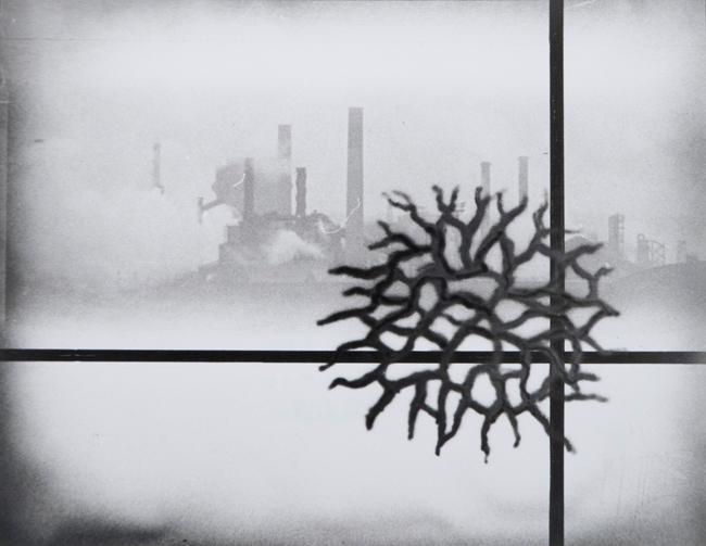 ‘Echo’ Series, Untitled No: 72