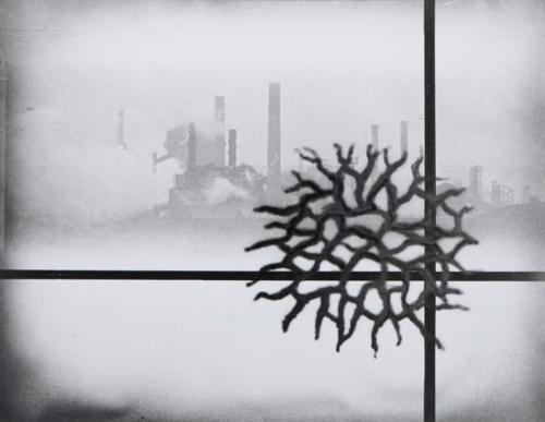 ‘Echo’ Series, Untitled No: 72