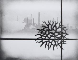 ‘Echo’ Series, Untitled No: 72