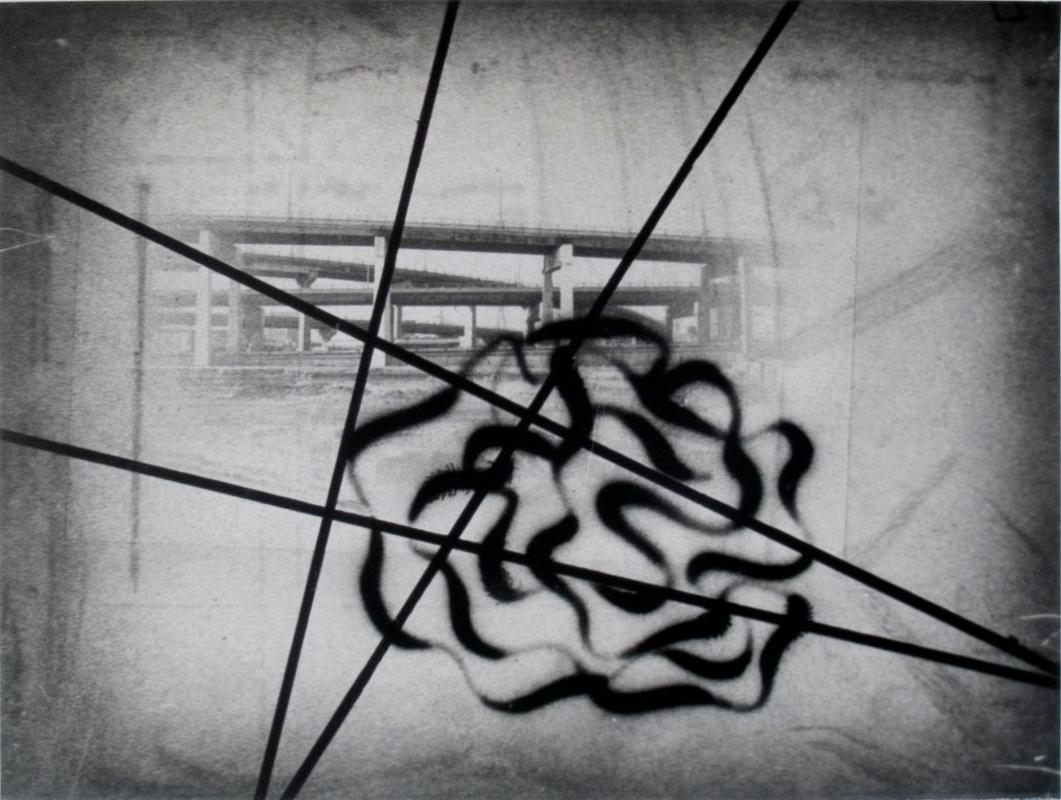 ‘Echo’ Series, Untitled No: 83