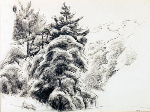 Untitled (study of trees)