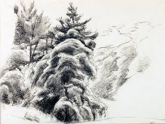 Untitled (study of trees)