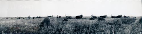 Untitled (binding the crop)