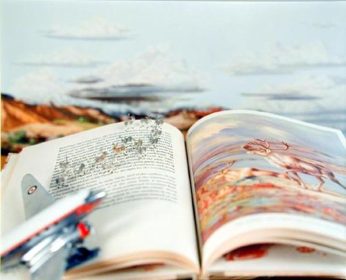 Untitled (open book with caribou)